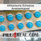 Africa Black Ant Capsule new09